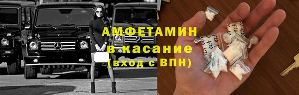 сатива Нефтекумск