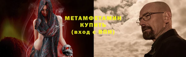 сатива Нефтекумск