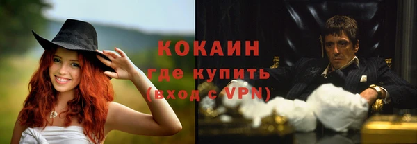 ПСИЛОЦИБИНОВЫЕ ГРИБЫ Болотное