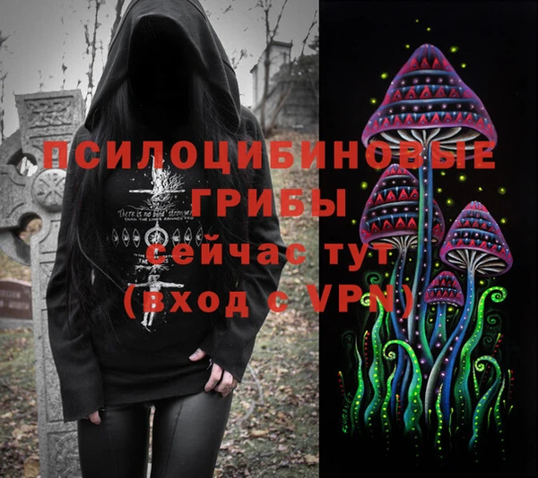 Альфа ПВП Нефтегорск