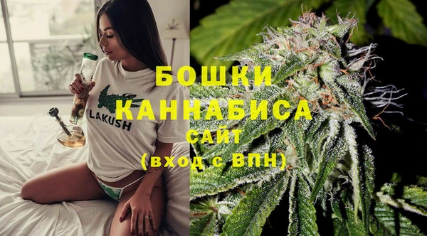 сатива Нефтекумск