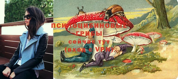 сатива Нефтекумск