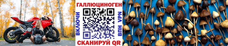 Галлюциногенные грибы MAGIC MUSHROOMS  наркошоп  Лянтор 